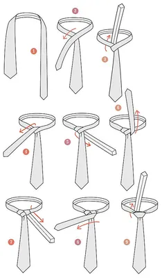 Как завязывать галстук: пошаговая инструкция | ROZETKA Journal