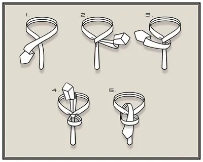 Как правильно завязать галстук?» — Яндекс Кью