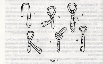Как правильно завязать галстук | PriceMedia