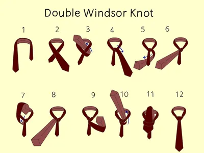 Как завязать галстук узлом Виндзор (с иллюстрациями)