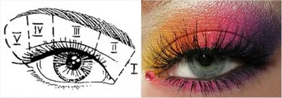 Макияж для голубых глаз: примеры и пошаговые фото | Blue eye makeup, Hair  hacks, Eye makeup