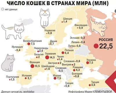 Сколько кошек у нормального человека? - У нормального человека 1 -2 кошки.  - Но это же кошатник / котейки :: картинка с текстом / смешные картинки и  другие приколы: комиксы, гиф анимация, видео, лучший интеллектуальный юмор.