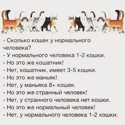 Сколько кошек у нормального человека? -У нормального человека 1-2 кошки.  -Но это же кошатник! - Нет, кошатник, имеет… | Цитаты о животных, Кошки,  Веселые картинки