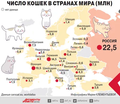 Число кошек в странах мира (млн). Инфографика | Природа | Общество |  Аргументы и Факты