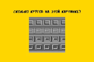 Обостри свое зрение! Сколько кругов вы видите? Только 2% пользователей  отвечают правильно | Mixnews