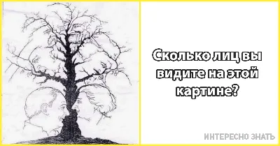 Тест: сколько лиц вам удалось разглядеть на картинке с деревом? - О главном