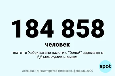 Цифра: сколько людей в Узбекистане официально получают свыше 5,5 млн сумов  в месяц – Spot