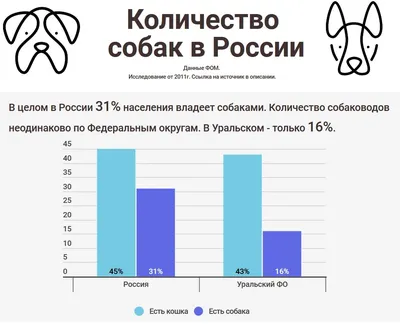 Суточная норма сухого корма для собак