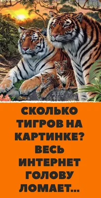 Проверка на внимательность: сколько тигров на картинке? Посчитайте! -  Лайфхакер