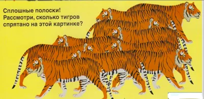 Популяция амурского тигра на Дальнем Востоке достигла 650 особей - РИА  Новости, 