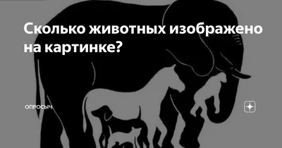 СКОЛЬКО ЖИВОТНЫХ ИЗОБРАЖЕНО НА КАРТИНКЕ?#shorts - YouTube