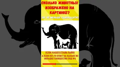 Сколько животных изображено на картинке? | Опросыч | Дзен