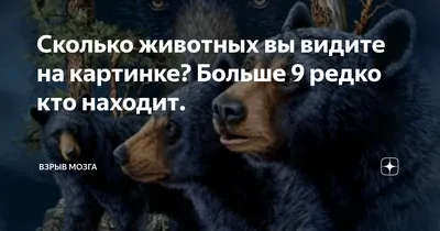 СКОЛЬКО ОБРАЗОВ ЛЮДЕЙ И ЖИВОТНЫХ ВЫ ВИДИТЕ НА КАРТИНКЕ? ГОЛОВОЛОМКИ И  ЗАДАЧКИ! #shorts - YouTube