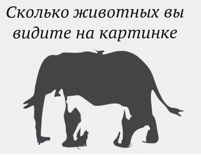 Сколько животных вы видите на картинке? Больше 9 редко кто находит. | ВЗРЫВ  МОЗГА | Дзен