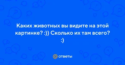 11 загадок, которые позволят проверить вашу внимательность и расскажут о  скрытых чертах характера / AdMe