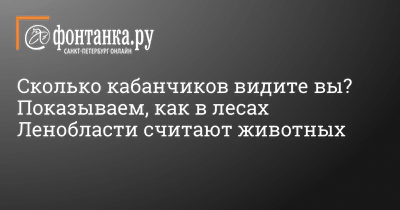 СКОЛЬКО ОБРАЗОВ ЛЮДЕЙ И ЖИВОТНЫХ ВЫ ВИДИТЕ НА КАРТИНКЕ? ГОЛОВОЛОМКИ И  ЗАДАЧКИ! #shorts - YouTube