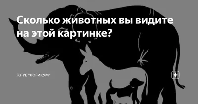 Загадка: Сколько животных вы видите на картинке?, - 75187 - Кашалот