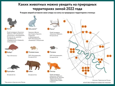 Сколько животных вы можете назвать? -  - Дневник новостей  Вильнюса