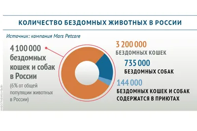 Сколько бездомных животных находится в России | Ветеринария и жизнь