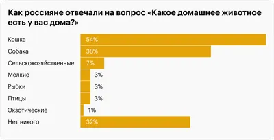 Кого в России больше любят — кошек или собак, и сколько хозяева тратят на  своих питомцев