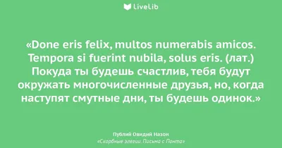 Погребальные Иконы Крест Голубь Цветок Птица Скорбные Пожелания  Соболезнования — стоковая векторная графика и другие изображения на тему  Религиозный крест - iStock