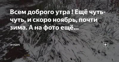 В Украину совсем скоро придут снег и морозы? Синоптики обновили прогноз на  ноябрь