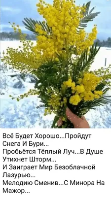 весна / смешные картинки и другие приколы: комиксы, гиф анимация, видео,  лучший интеллектуальный юмор.