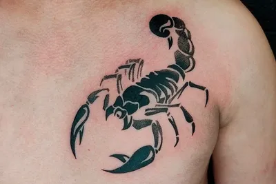 Тату скорпион (85 фото) - значение татуировки, эскизы 2023