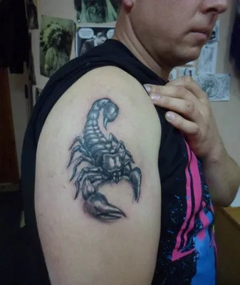 Тату знака зодиака Скорпион в Краснодаре от мастеров студии EL'Rash