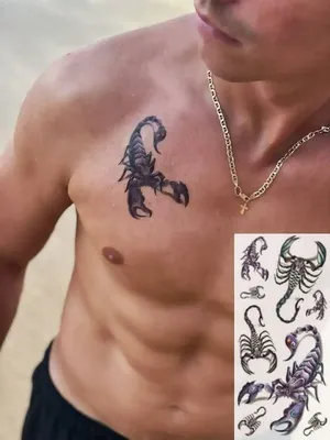Тату на груди скорпион - 11 Фото и значение татуировок 2024