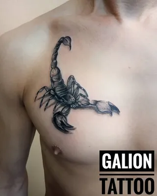 Тату эскизы "Скорпион" - VeAn Tattoo