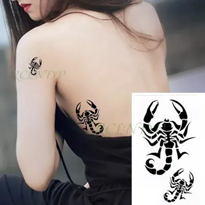 Тату эскизы "Скорпион" - VeAn Tattoo