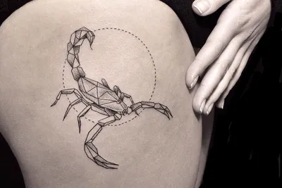 Тату эскизы "Скорпион" - VeAn Tattoo
