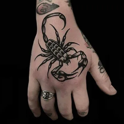 Необычное значение татуировки скорпион |  | Дзен