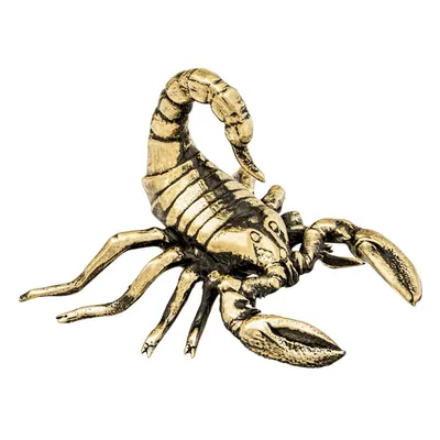 Скорпион из чернёного серебра с гранатом – купить на Ярмарке Мастеров –  O7WG0RU | Оберег, Санкт-Петербург