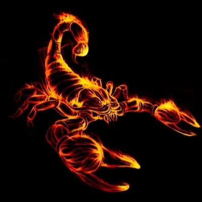 Огненный Скорпион - 64 фото