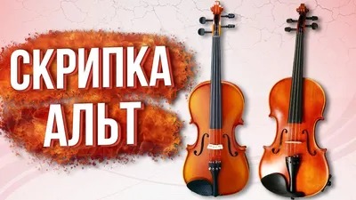 Ребек/средневековая скрипка/гудок SOLOMusic WS – купить на Ярмарке Мастеров  – INVCJRU | Другие инструменты, Мурманск