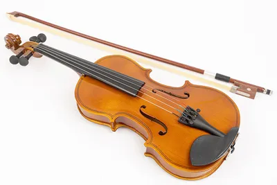 Фактическое фото كпламенная скрипка с глубоким тоном! Профессиональный  Чехол для скрипки 4/4 - купить по выгодной цене | AliExpress