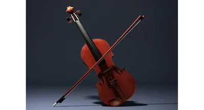 Купить Электро скрипки ручной работы Скрипки ручної роботи violin, цена  14850 грн —  (ID#1164226783)