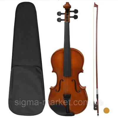 Вектор инструменты оркестра музыканта скрипки изображения Иллюстрация  вектора - иллюстрации насчитывающей шарж, люди: 211638462