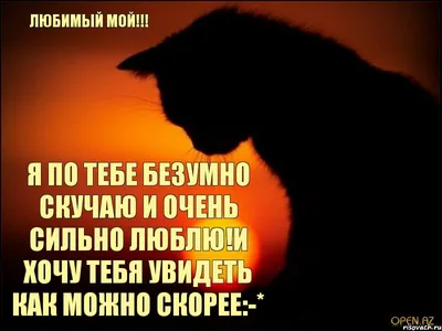 Скучаю по любимому на сво» — создано в Шедевруме