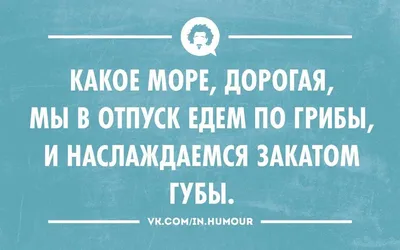 ВКонтакте» разработала приложения, которые помогут не скучать в праздники -  Афиша Daily