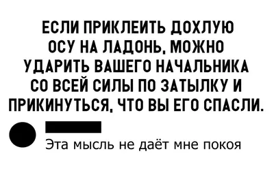 Когда девушкам скучно на работе - ЯПлакалъ