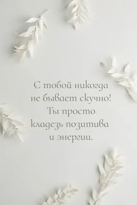 Обои Скучно Туманы, ветвь, 1МГ ТГК, дерево, лист WQHD, QHD, 16:9 бесплатно,  заставка 2560x1440 - скачать картинки и фото