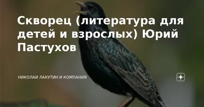 Скворец (литература для детей и взрослых) Юрий Пастухов | Николай Лакутин и  компания. Читаем онлайн. Дзен рассказы | Дзен