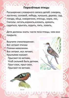 Pin by Сальвина Арутюнян on Занятия для детей | Animals, Rec, Caa