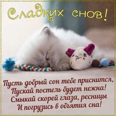 Сладких снов, котенок!