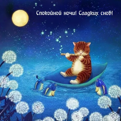 СПОКОЙНОЙ НОЧИ! 💤💗✨🌃✨💗💤 СЛАДКИХ СНОВ! 🐾😽🐾 | Ночь, Спокойной ночи,  Веселые картинки