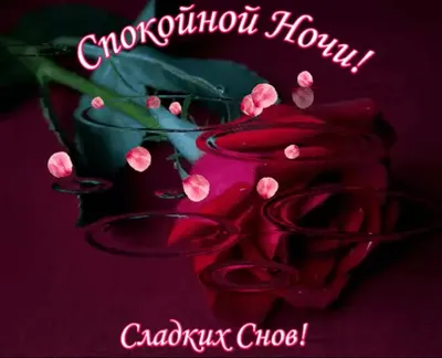 Красивые картинки "Спокойной ночи и сладких снов!" (521 шт.)