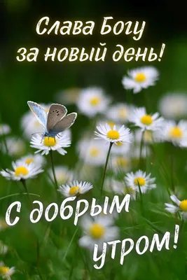 Пин от пользователя Татьяна Сазоненко на доске открытки на каждый день |  Зимние сцены, Природа, Рождественские поздравления